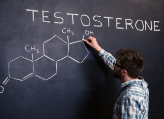 Foods That Help Support Testosterone Levels in Men