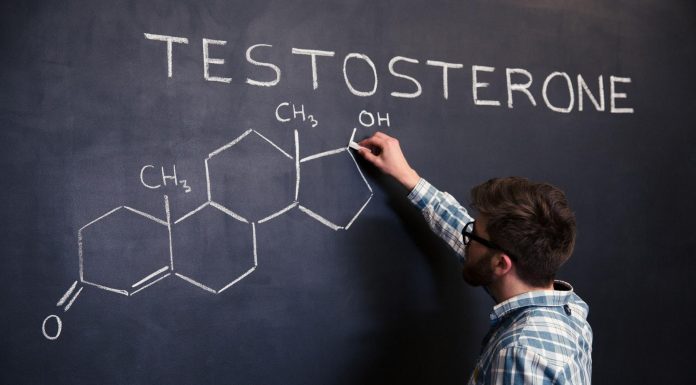 Foods That Help Support Testosterone Levels in Men