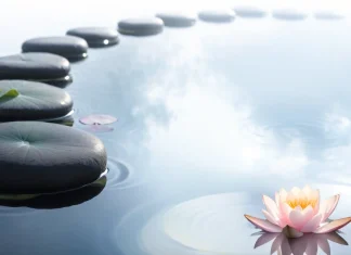 Soul Healing: What It Means and How the Process Actually Works Zen black stepping stones and a blooming pink lotus flower on calm tranquil water representing soul healing
