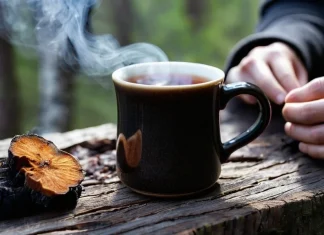 Need an Immunity Boost? Try Chaga Mushrooms Wild chaga mushroom and steaming mug of chaga tea on rustic wooden stump